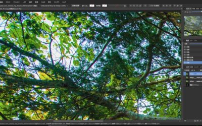 Affinity Photoはphotoshopの代替となり得るか モシナラ もしも ならを極めるサイト